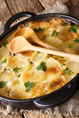 Finnish cuisine Janssonin Kiusau. Baked potatoes with anchovies, onions and cream close-up in a frying pan. vertical