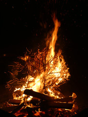 Offenes Feuer mit brennendem Tannenbaum