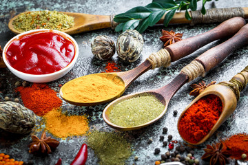 Spices and condiments for food