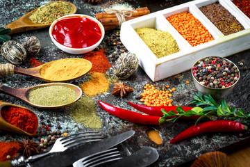 Spices and condiments for food
