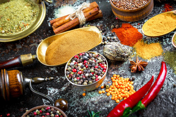 Spices and condiments for food