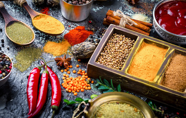 Spices and condiments for food