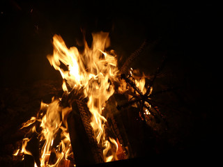 Offenes Feuer mit brennendem Tannenbaum