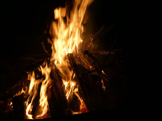 Offenes Feuer mit brennendem Tannenbaum