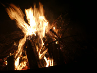 Offenes Feuer mit brennendem Tannenbaum