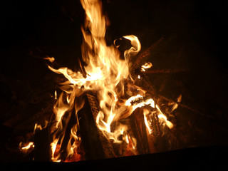 Offenes Feuer mit brennendem Tannenbaum