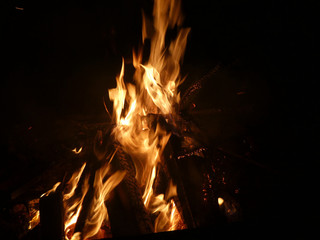 Offenes Feuer mit brennendem Tannenbaum