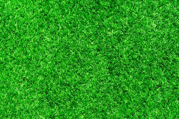 Fototapeta premium Artificial grass