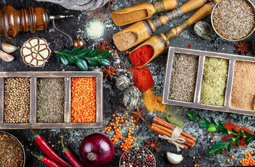 Spices and condiments for food
