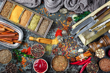 Spices and condiments for food