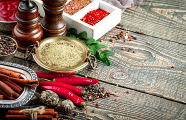 Spices and condiments for food
