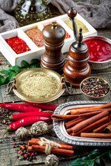 Spices and condiments for food