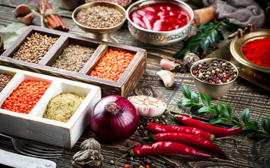 Spices and condiments for food