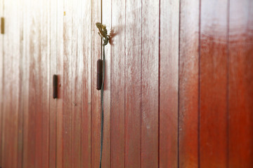 Tradition Wooden door at Homestay in Thailand