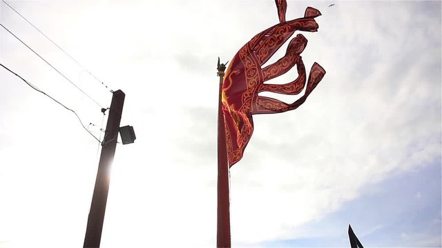 Flag of the Republic of Venice.