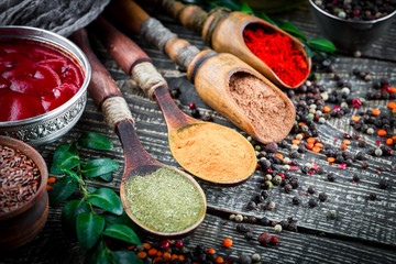 Spices and condiments for food