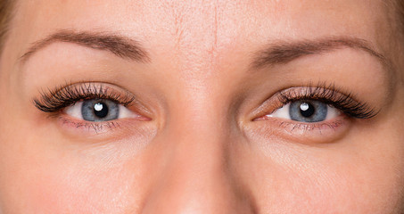 Obraz premium Close-up twarz piękna młoda kobieta z pięknymi niebieskimi oczami i ładnymi rzęsami i brwiami. Makro ludzkiego oka - otwarty wyrazisty wygląd.