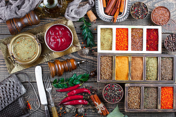 Spices and condiments for food