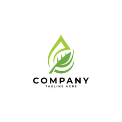 Nature green leaf and water droplet vector icon logo