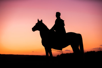 Horses and Men Silhouette at Sunset on a High Mountain