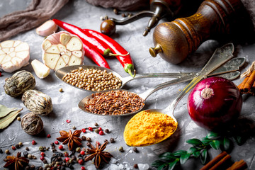 Spices and condiments for food