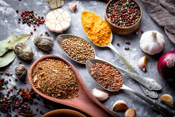 Spices and condiments for food