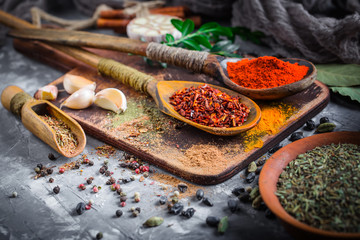 Spices and condiments for food