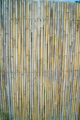 bamboo fence background