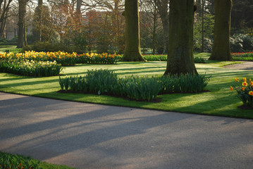Spring sunny landscape with park view (plants, foot road, green grass and flowers).