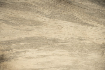 close up wood tree background and textured