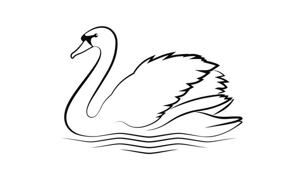Swan graphic icon. Swan on the water sign isolated on white background. Vector illustration