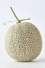 fresh melon on white background.