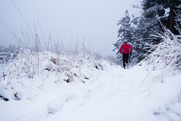 Naklejka na ściany i meble Läufer mit roter Jacke im Schnee, Running im Schnee, Laufen im Winter, trailrunning