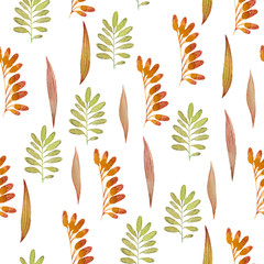 Watercolor pattern with different leaves and blades of grass on a white background. Botanical illustration on an autumn theme. Children's illustration in cartoon style for textile, packaging design