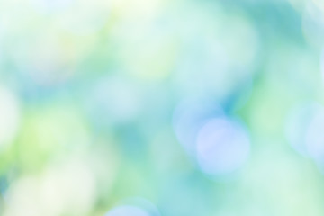 Obraz premium Green leaved natural blurred background
