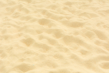 Sand beach texture 