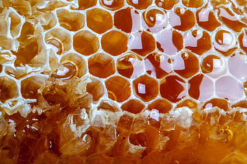 Natural Fresh Honeycomb