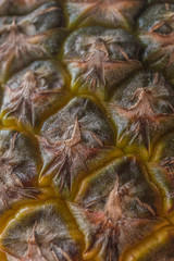 Shell of a pineapple showing clear details and texture, geometric pattern