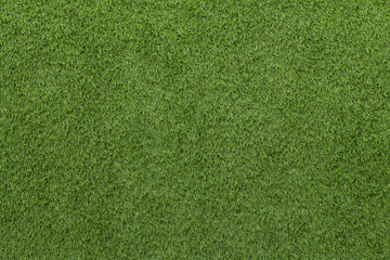 Artificial Grass Field Texture