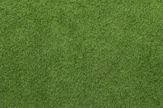 Artificial Grass Field Texture