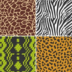 Vector illustration of a set of textures animal skin
