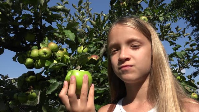 Child Eating Apple, Kid in Orchard, Farmer Girl Studying Fruits in Tree