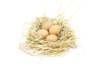 Egg isolated on white screen 