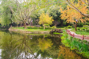 Landscapes of chinese park. Chengdu city. China.