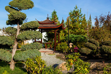 sale of trees in the garden center