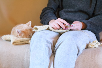 A woman knitting sock next to a lying cat on the couch.