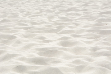 Landscape beach sand texture in summer sun