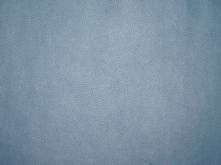 Blue Book Texture