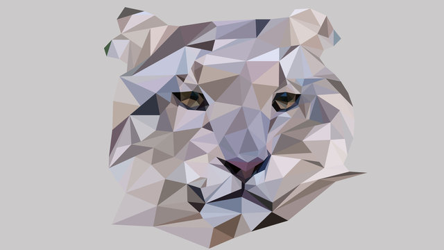 snow leopard vector illustration