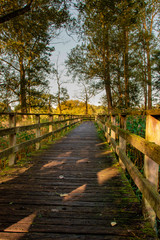 Holzsteg durch Naturschutzgrbiet Aueniederung und Nebentäler